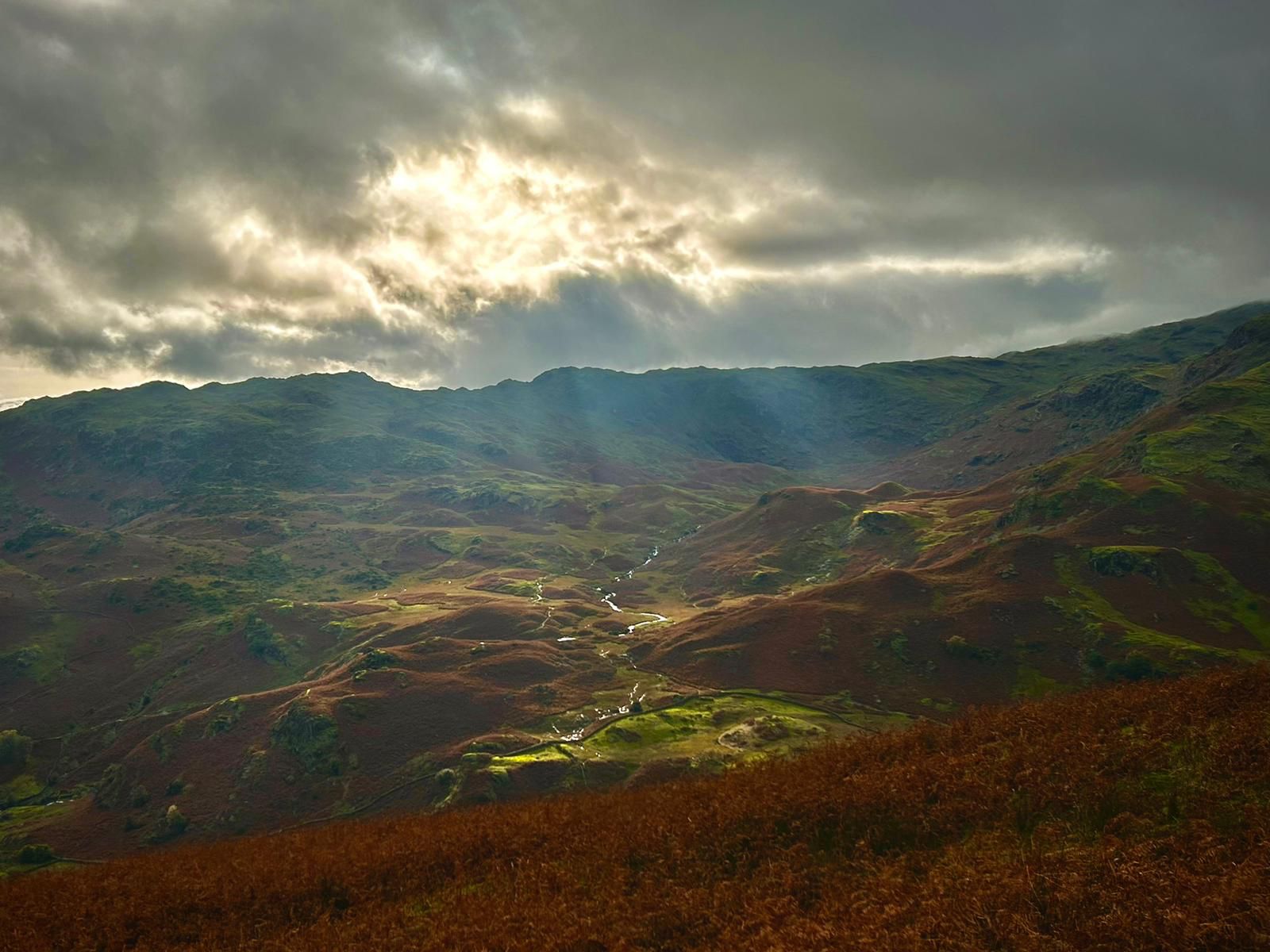 Wide shot of The Lake District landscape in autumn, green and red leaves covering rolling hills with a stream running through the centre